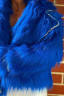 Louis coat - royal blue