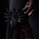 Untitled 1 5.jpg Untitled 1 5.jpg