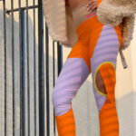 Untitled3.jpg Untitled3.jpg