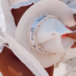 טיילור וינטאז לבן כובע2.png טיילור וינטאז לבן כובע2.png