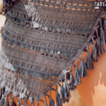 פראו שחור ביץ וואר4.png